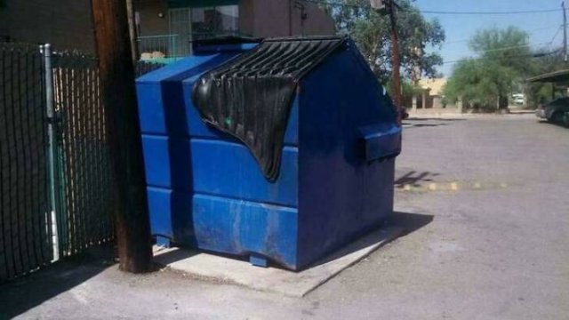 Accidental Surrealism (50 pics)