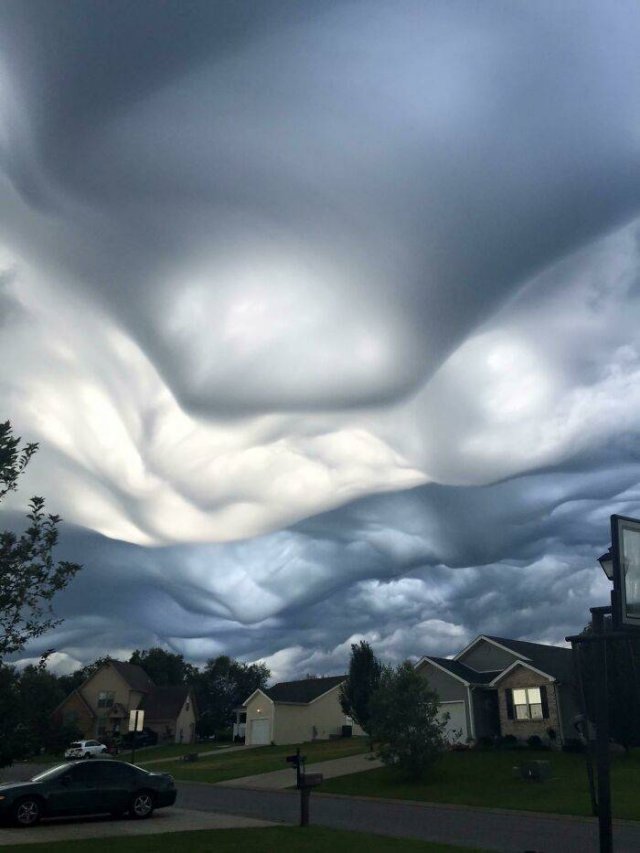 Accidental Surrealism (50 pics) Accidental Surrealism (50 pics)