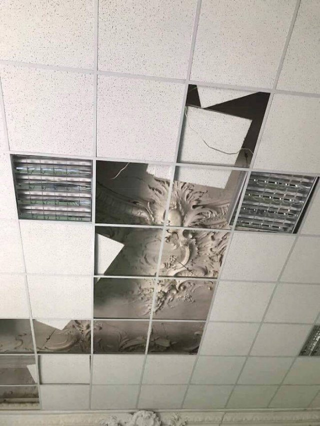Accidental Surrealism (50 pics) Accidental Surrealism (50 pics)