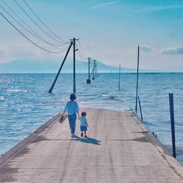 Accidental Surrealism (50 pics)
