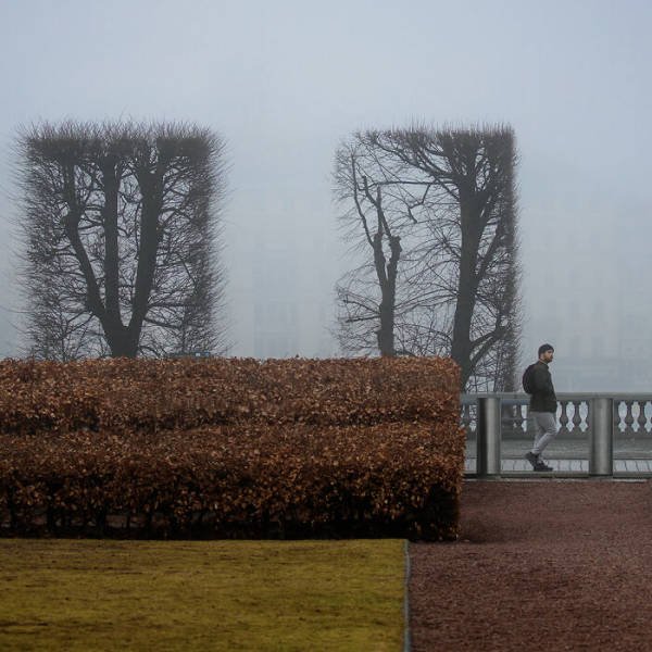 Accidental Surrealism (50 pics) Accidental Surrealism (50 pics)