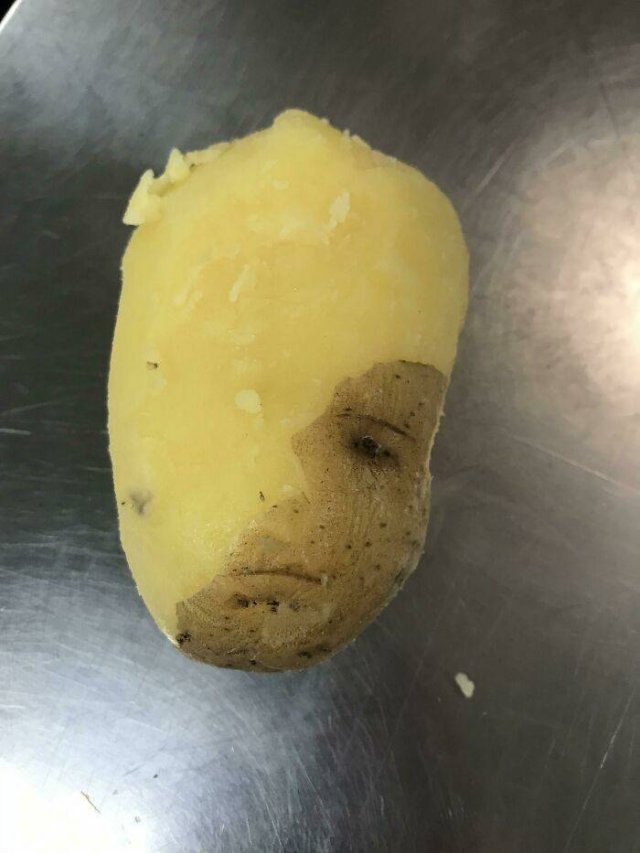 Accidental Surrealism (50 pics) Accidental Surrealism (50 pics)