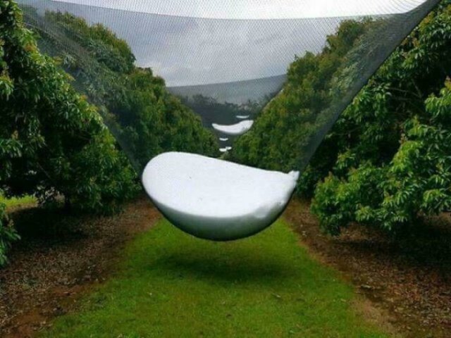 Accidental Surrealism (50 pics) Accidental Surrealism (50 pics)
