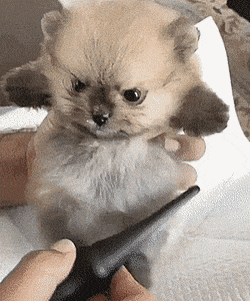 Acid Gifdump, October 21 (25 gifs)