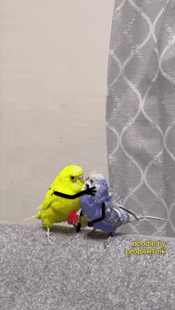 Acid Gifdump, October 21 (25 gifs)