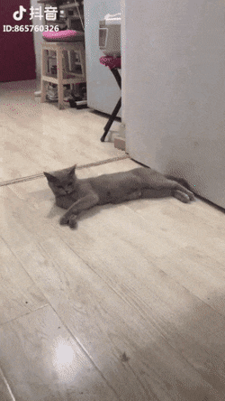 Acid Gifdump, October 21 (25 gifs)