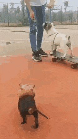 Acid Gifdump, October 22 (25 gifs)