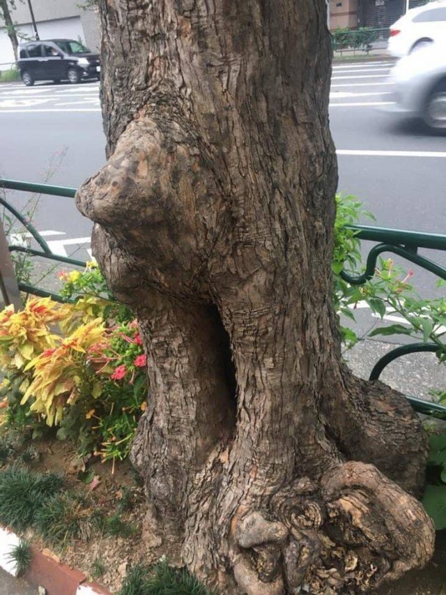 Look Twice (49 pics)