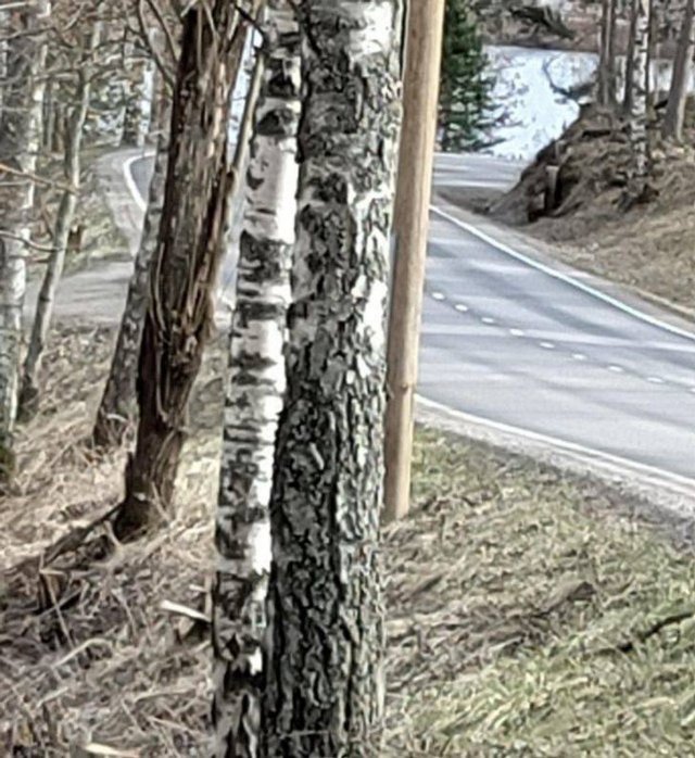 Look Twice (49 pics)