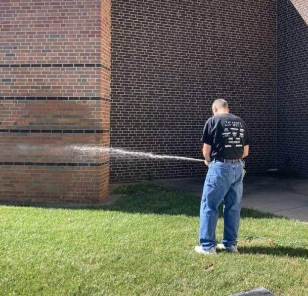 Look Twice (49 pics)