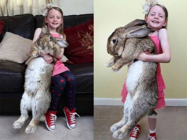 Acid Picdump 1 (87 pics)