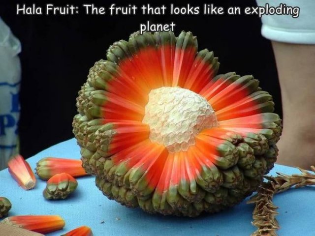 Acid Picdump 2 (85 pics)