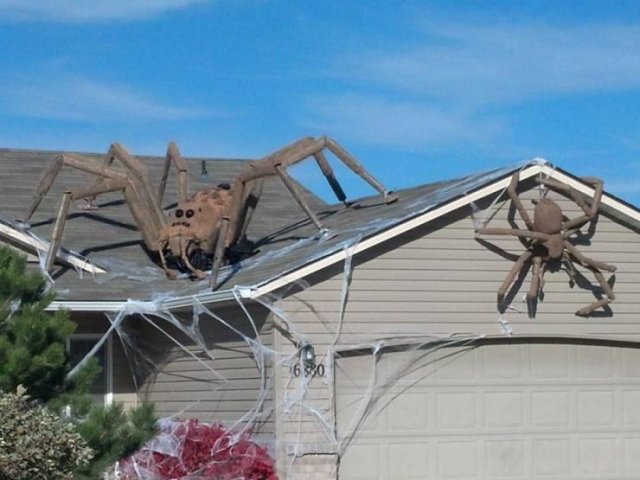 Acid Picdump 1 (87 pics)