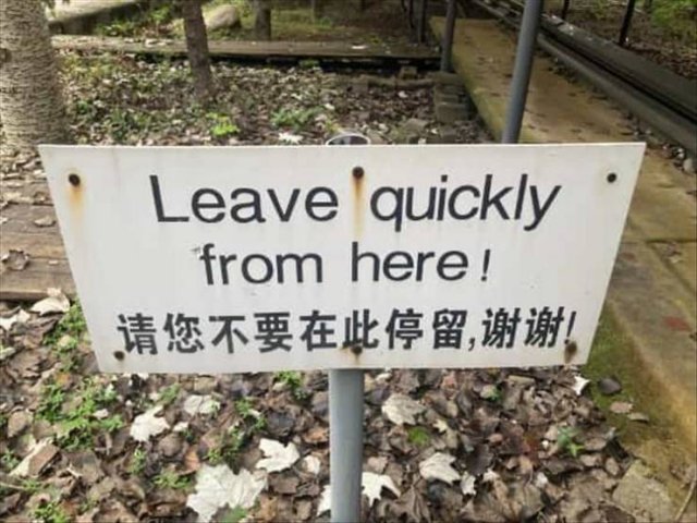 Acid Picdump 1 (87 pics)