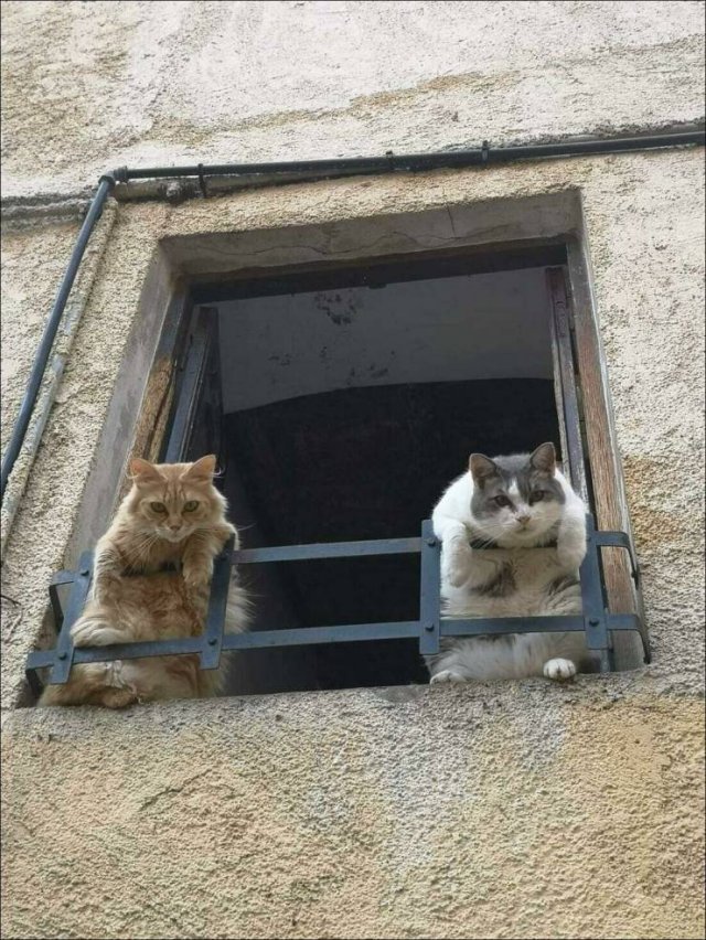 Acid Picdump 1 (87 pics)