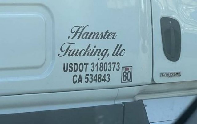 Acid Picdump 1 (87 pics)