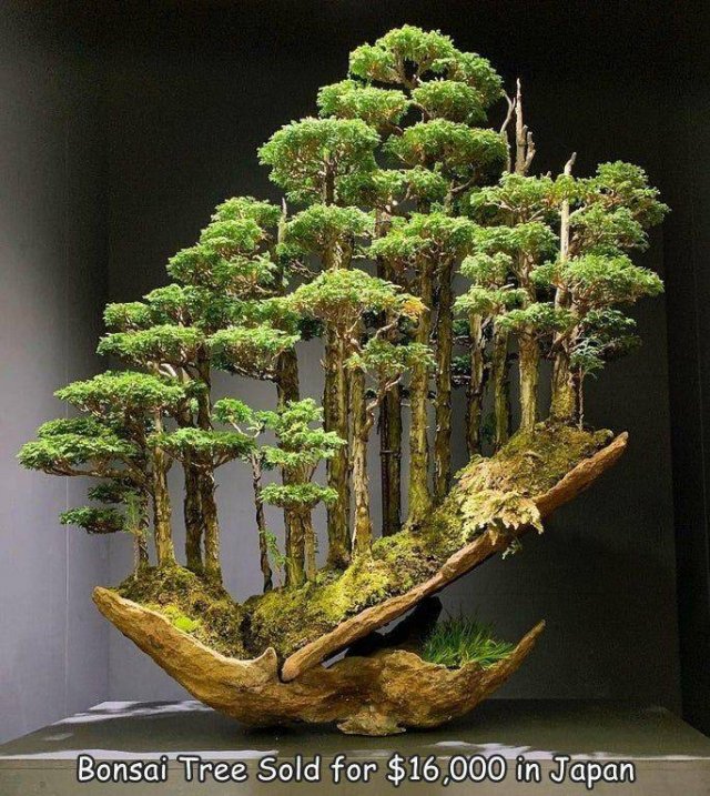 Acid Picdump 2 (85 pics)