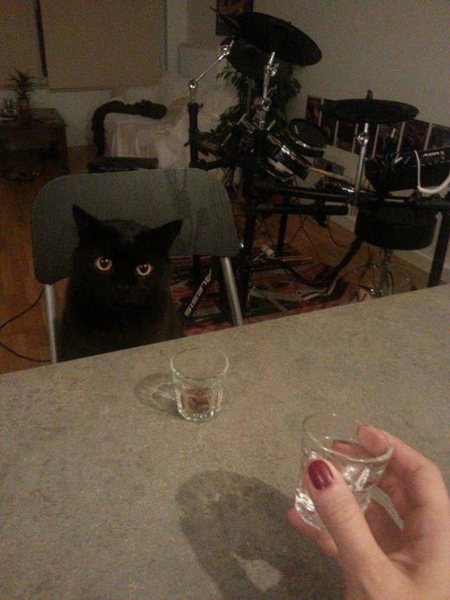 Acid Picdump 1 (87 pics)