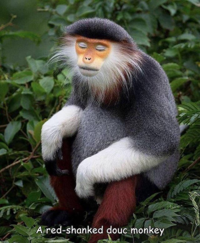 Acid Picdump 1 (87 pics)