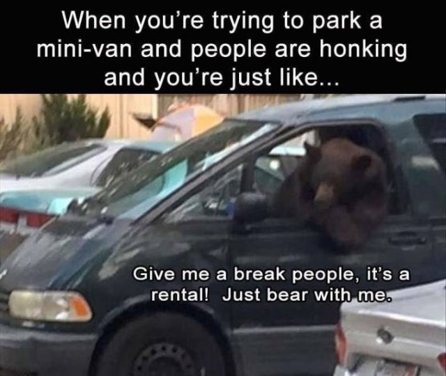 Acid Picdump 2 (85 pics)