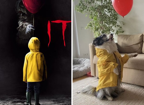 Pet Halloween Costumes (34 pics)