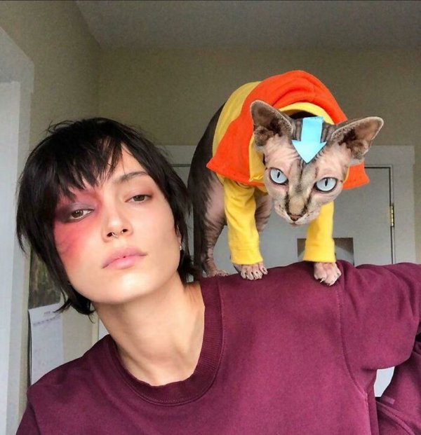 Pet Halloween Costumes (34 pics)