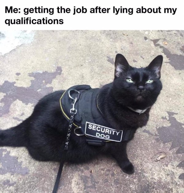 Hilarious Memes (18 pics)