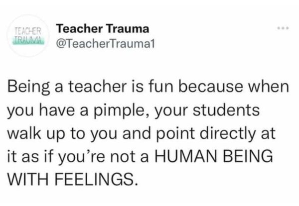 Teacher Memes (27 pics)