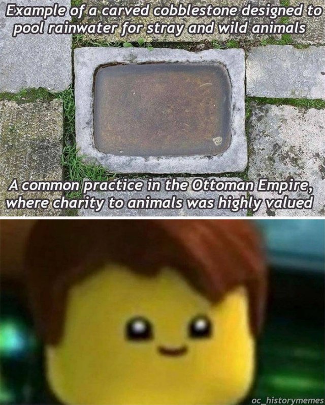 History Memes (27 pics)