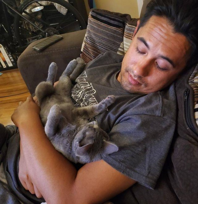 Men And Cats (22 pics)