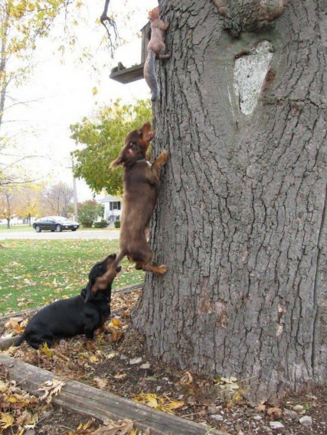 Acid Picdump 1 (91 pics)