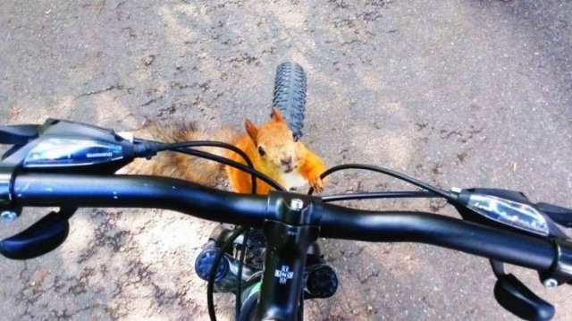 Acid Picdump 1 (91 pics)
