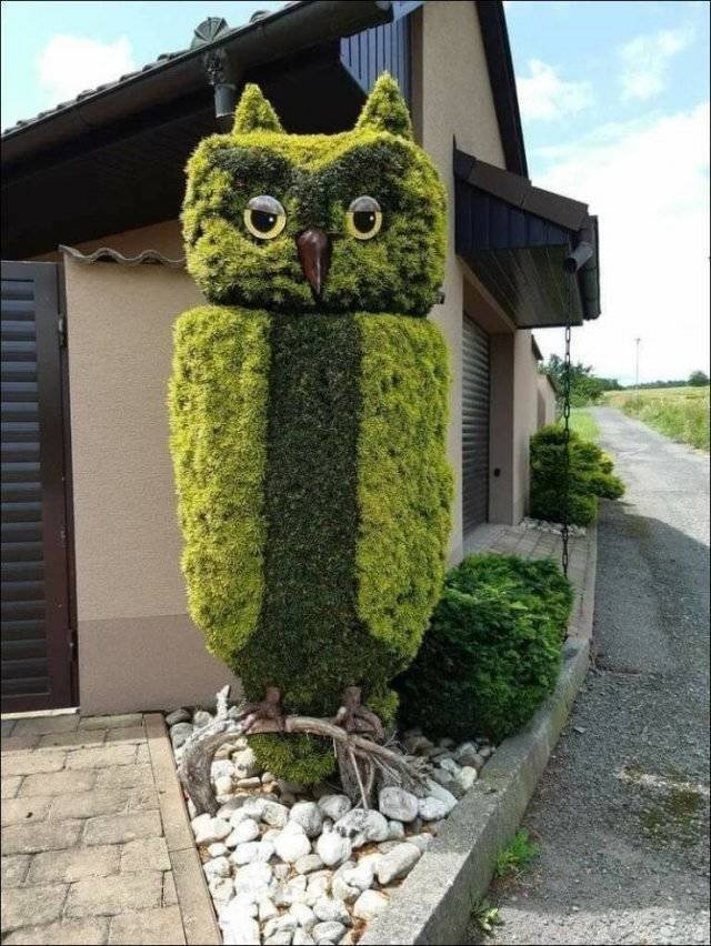 Acid Picdump 1 (91 pics)