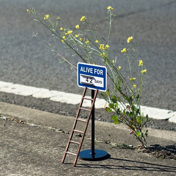 Hidden Easter Egg Signs In Town (30 pics)