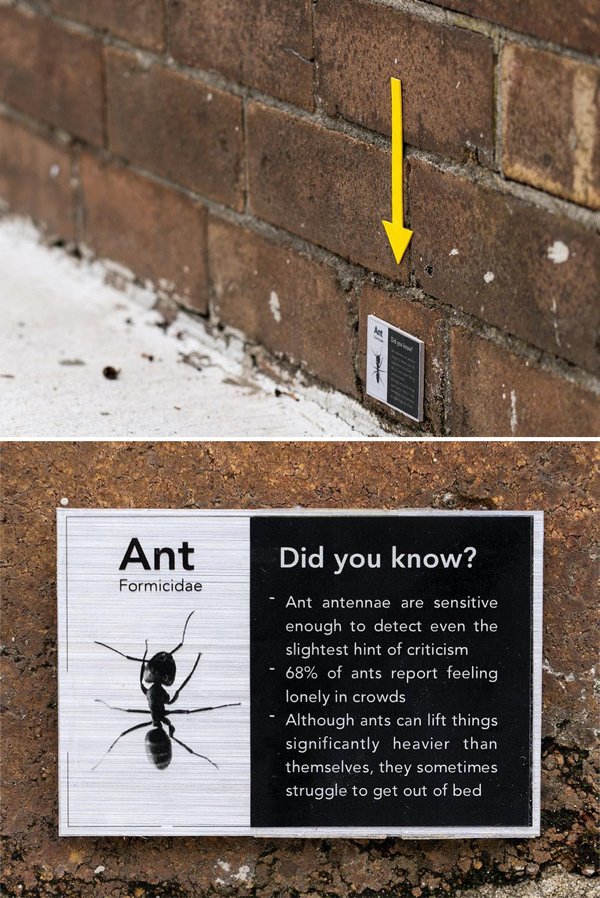 Hidden Easter Egg Signs In Town (30 pics)