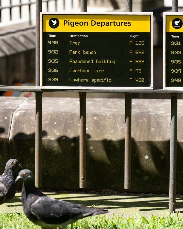 Hidden Easter Egg Signs In Town (30 pics)