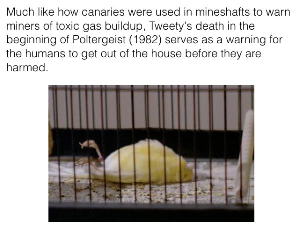 Horror Movie And Cartoon Hidden Details (32 pics)
