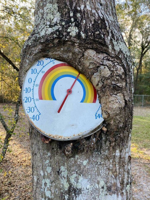 Time Changes Everything (49 pics)
