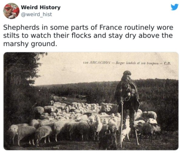 Weird History Facts (32 pics)