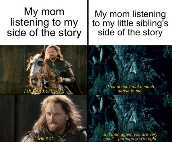 Lotr Memes 27 Pics