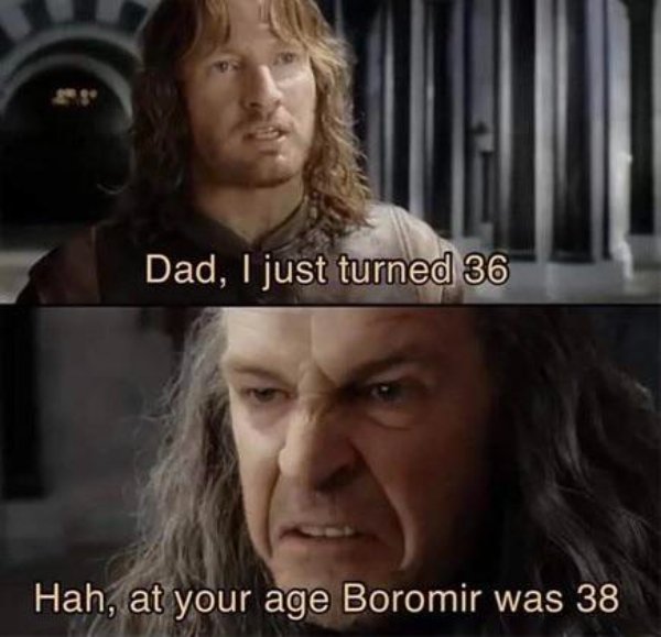 LOTR Memes (27 pics)