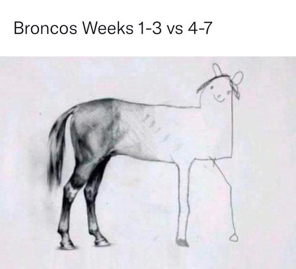 NFL Memes (43 pics)