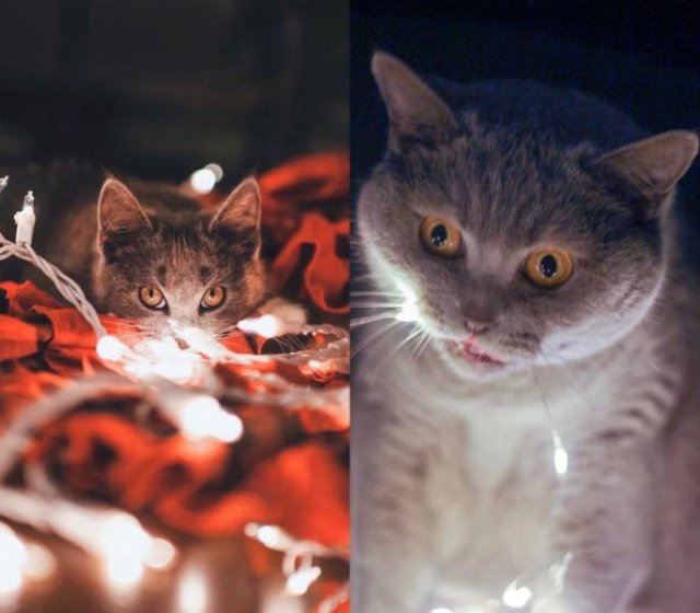 Expectation And Reality (20 pics) Expectation And Reality (20 pics)