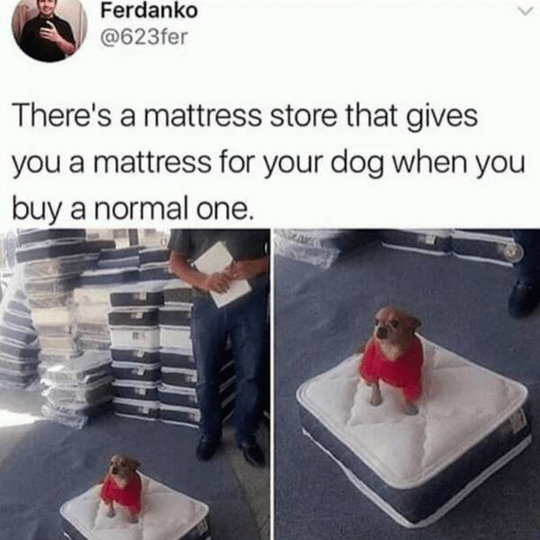 Great People (50 pics)