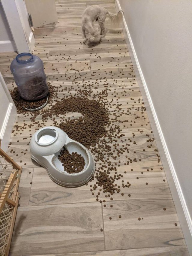Acid Picdump 1 (88 pics)