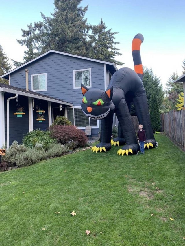 Acid Picdump 2 (86 pics)