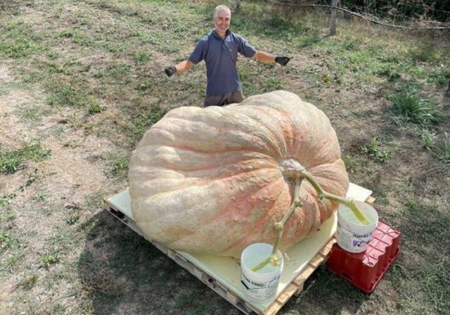 Acid Picdump 1 (88 pics)
