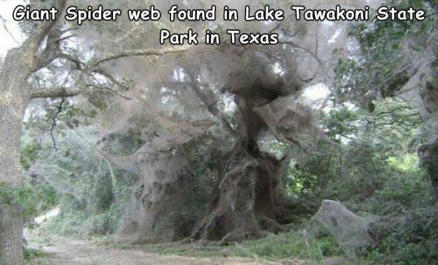Acid Picdump 1 (88 pics)
