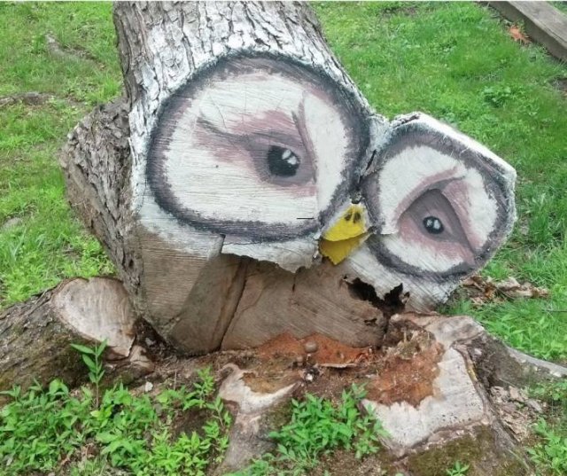 Acid Picdump 1 (88 pics)