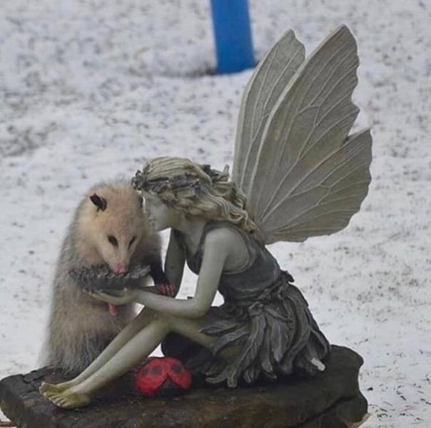 Acid Picdump 1 (88 pics)